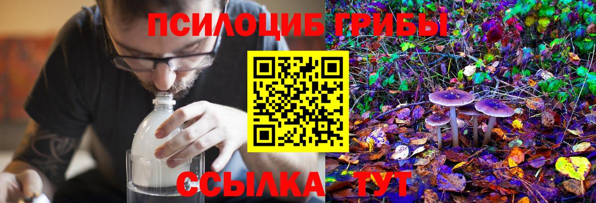Псилоцибиновые грибы MAGIC MUSHROOMS  Галлюциногенные грибы мицелий  Аксай  Вход с VPN 
